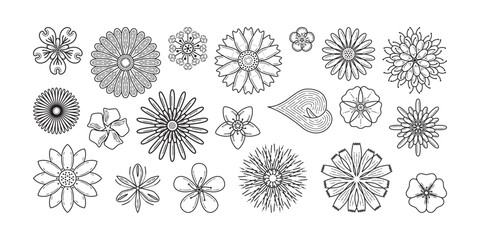 FLOWER OUTLINE STOCK 001