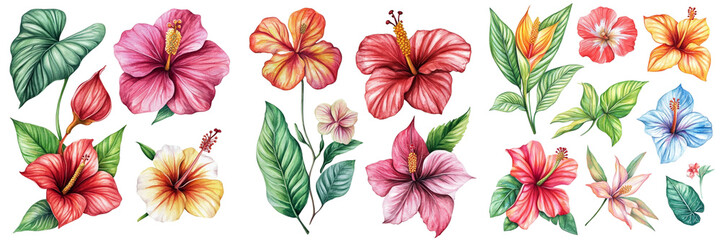 Tropical Watercolor Floral Set with Exotic Orchids, Hibiscus, Anthurium and Green Leaves, Botanical Illustration Design