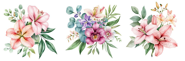 Pink Lilies, Flower Set Isolated White Background. Watercolor Botanical Painting, Floral Design. Delicate Lilies Clipart
