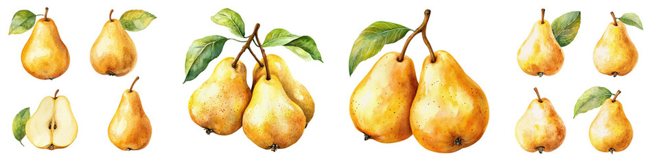 Sweet Pears Set Watercolor Illustration, Fruits on Isolated Background, Botanical Painting. Ripe Yellow Pear with Leaf