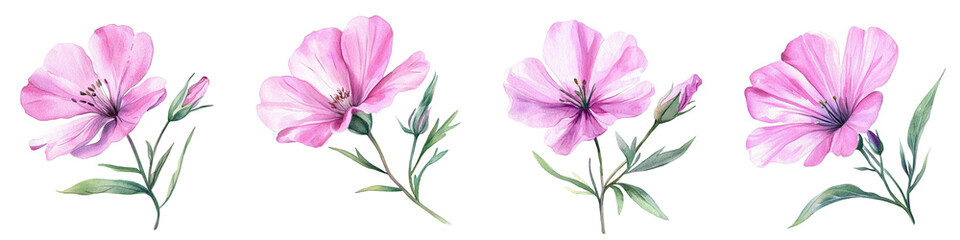 Pink Wildflower Watercolor. Floral Isolated for Wedding, Invitation, Greeting Cards. Watercolour Flower