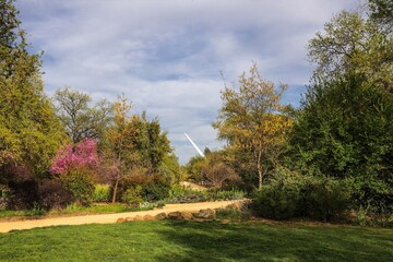 Sundial Bridge Redding Spring: Sundial Bridge’s white pylon rises over a garden path, surrounded by pink blossoms and green trees, perfect for nature scenery.