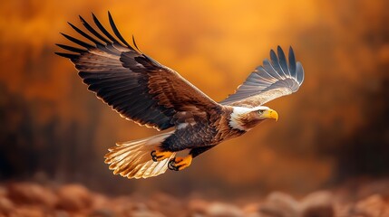 Obraz premium Majestic golden eagle soaring with wings outstretched against a dramatic arid desert canyon landscape The bird s powerful presence dominates the sweeping atmospheric scene