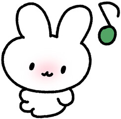 토끼