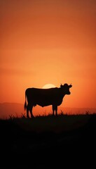 Sunset Cow Silhouette