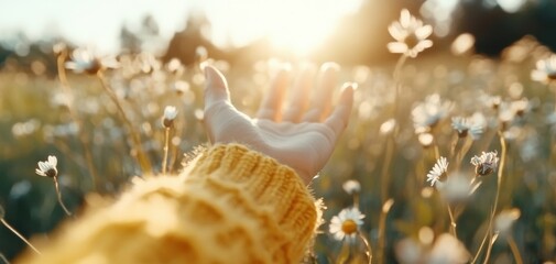 A serene moment in nature as a hand reaches out towards the sun, essence of freedom and joy with a hand reaching out in nature, embodying relaxation, peace, and mindfulness in a single serene moment
