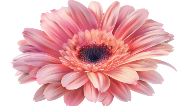 Pink flower with soft shading in a watercolor style on a white background isolated