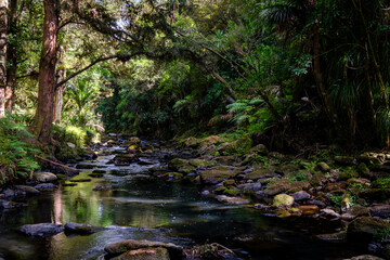 Obraz premium Whangarei river