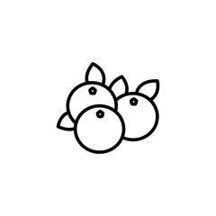 Cranberry icon Vector flat thin line simple illustration for web and app..eps