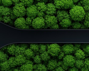 Aerial view of lush green trees surrounding a modern road, showcasing nature's beauty.