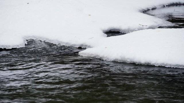 The spring current of a freshwater river in the forest. Melting of snow and ice. Forest river. The inflow of fresh water.