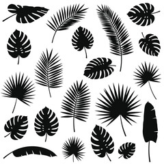 Tropical leaf silhouettes set for design and decoration