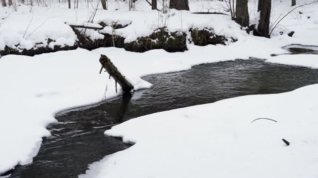 The spring current of a freshwater river in the forest. Melting of snow and ice. Forest river. The inflow of fresh water.