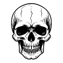 black white skull on white background
