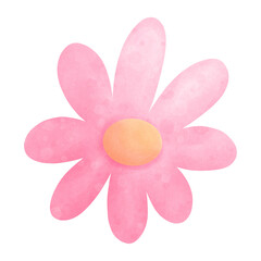 pink flower isolated on white