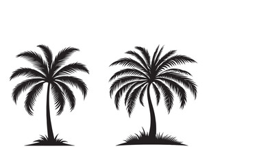 Palm tree silhouette with white background