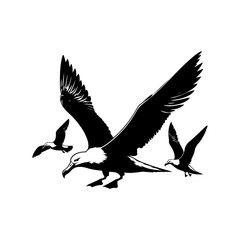 Obraz premium Albatross bird silhouette vector file