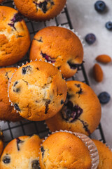 Blueberry muffins on the grill, next to blueberries