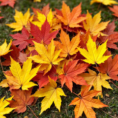 maple leaves background