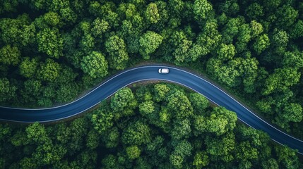 aerial road through the forest for the New Year 2026 goals and resolutions