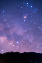  Silhouette of tree  before sunrise and Clearly milky way galaxy with stars and space dust in the universe