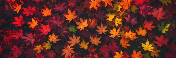 Fototapeta premium Autumnal Cascade: A Vibrant Tapestry of Maple Leaves in Deep Seasonal Hues
