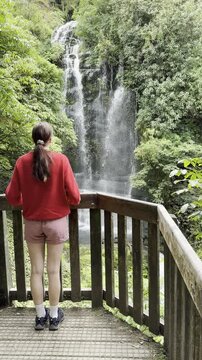 girl stands on wooden platform and admires a stunning Marokopa  Falls, Tawarau forest, Waitomo, Anga Road, North Island, New Zealand. Most picturesque and hidden waterfalls in NZ
