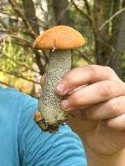 A person is holding a mushroom in their hand