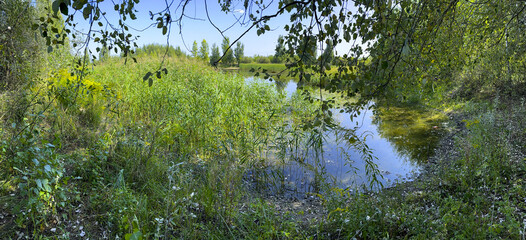 A panoramic view of a pond with trees in the background