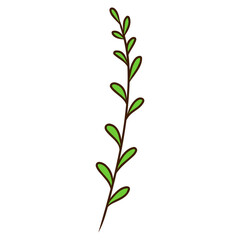 Green Leaf Branch Illustration