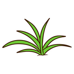 Vector Illustration of Grass Design