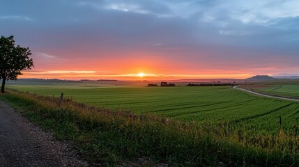 Obraz premium Serene Sunset over Rolling Green Fields and Country Road