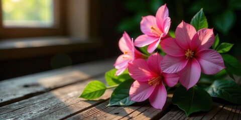 Delicate Pink Blossoms Resting on Weathered Wooden Surface Bathed in Golden Sunlight