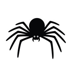 spider on a white background