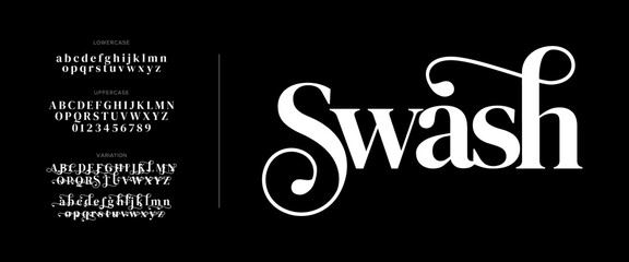 Swash Elegant Font Uppercase Lowercase And Number. Classic Lettering Minimal Fashion Designs. Typography modern serif fonts regular decorative vintage concept. vector illustration