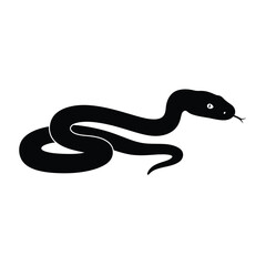 black and white snake