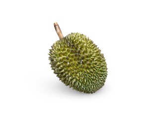 Durian thorns on white background