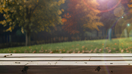 Sensitive wooden counter and autumn garden.