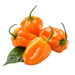 Orange Habanero Peppers isolated on white background