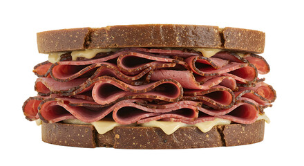 Pastrami Sandwich on Rye Bread with Cheese Filling Detail Shot