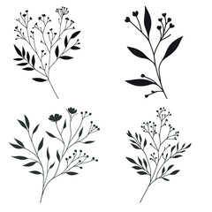 Naklejka premium set of black silhouettes of leaves