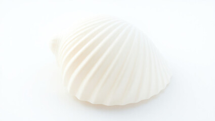 Naklejka premium Seashell isolated on white background
