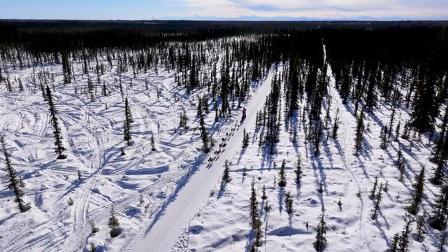 Alaska Sled Dog Racing
