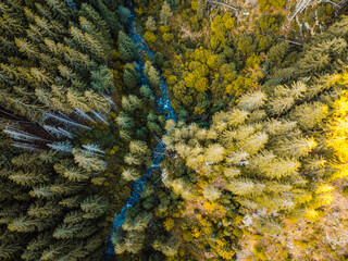 Aerial top view of summer green trees in forest with mountain river in Slovakia. Drone