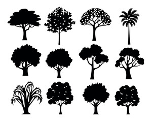 tree silhouettes on white background. Vector illustration.