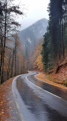 Fototapeta premium A winding road meanders through vibrant autumn trees adorned with gold and orange leaves. Soft raindrops create a glistening effect as mist envelops the distant mountains