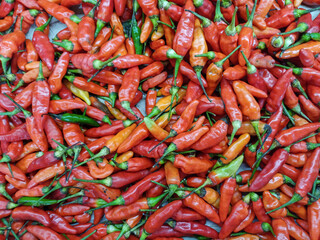 Top View Pile of Fresh Chili and Ripe Red Hot Chili in The Basket for Sale in The Vegetables Market of Central Java Indonesia Background Texture or Template to mock up or input Text