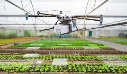 Agriculture technology with drone in greenhoue