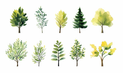 Minimalist Watercolor Green Trees and Bushes Vector Set for Nature Design