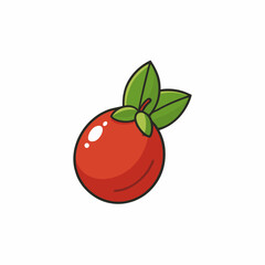 vector illustration of a buffaloberry